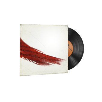 StatTrak™ Music Kit | Austin Wintory, Desert Fire CS2 skin