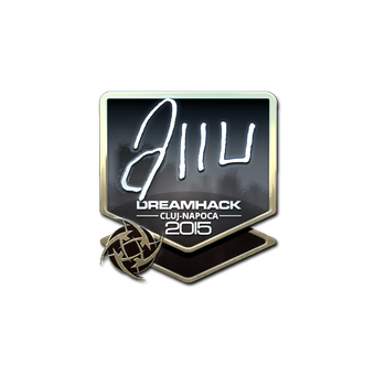 Sticker | allu (Foil) | Cluj-Napoca 2015 CS2 skin