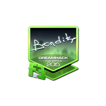 Sticker | bondik (Foil) | Cluj-Napoca 2015 CS2 skin