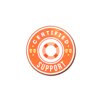 Sticker | Support CS2 skin