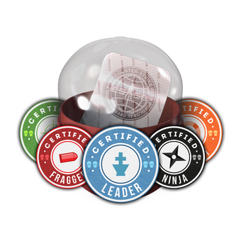 Team Roles Capsule CS2 skin
