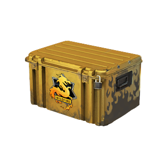Operation Wildfire Case CS2 skin