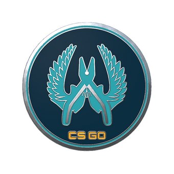 Guardian Pin CS2 skin