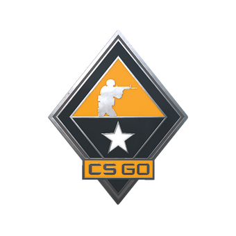 Tactics Pin CS2 skin