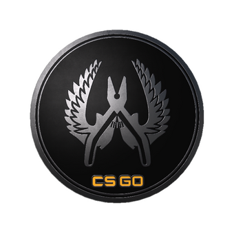 Guardian Elite Pin CS2 skin