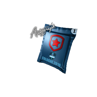 Autograph Capsule | Gambit Gaming | Cologne 2016 CS2 skin