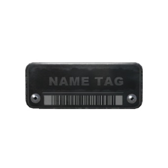 Name Tag CS2 skin