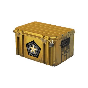 Gamma 2 Case CS2 skin
