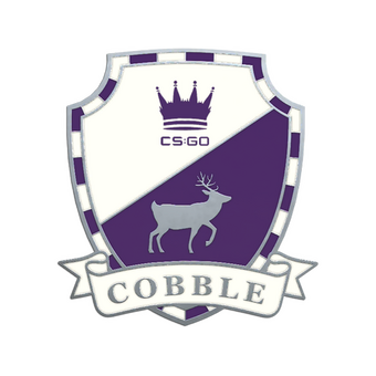 Cobblestone Pin CS2 skin