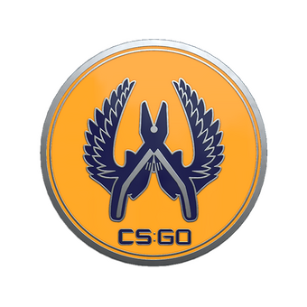 Guardian 2 Pin CS2 skin