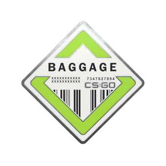 Baggage Pin CS2 skin