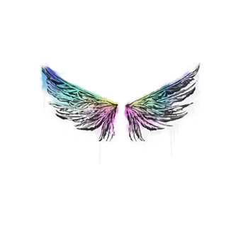 Sealed Graffiti | Wings CS2 skin