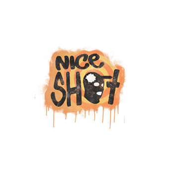 Sealed Graffiti | Nice Shot CS2 skin