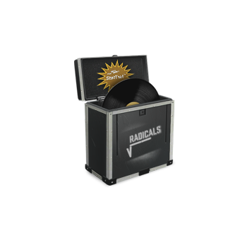 StatTrak™ Radicals Box CS2 skin