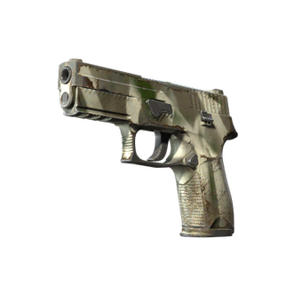 P250 | Bone Mask (Well-Worn) CS2 skin