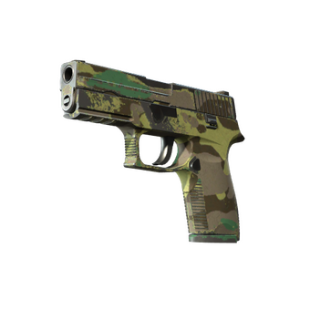 P250 | Boreal Forest (Field-Tested) CS2 skin