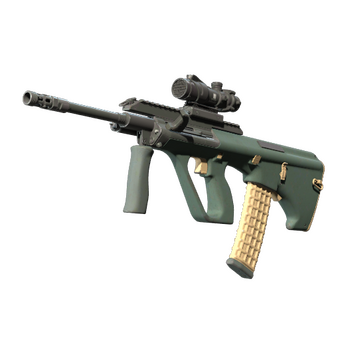 AUG | Contractor (Well-Worn) CS2 skin