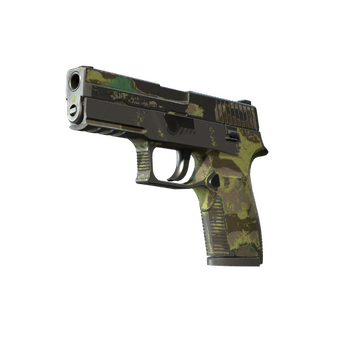 P250 | Boreal Forest (Battle-Scarred) CS2 skin
