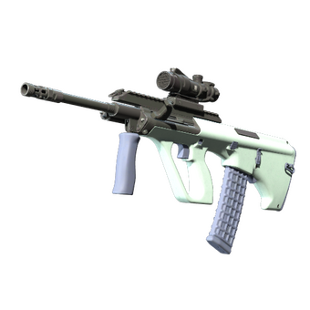AUG | Storm (Factory New) CS2 skin