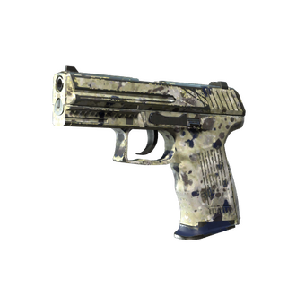 P2000 | Granite Marbleized (Well-Worn) CS2 skin