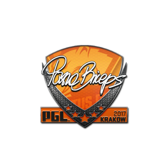 Sticker | pashaBiceps | Krakow 2017 CS2 skin
