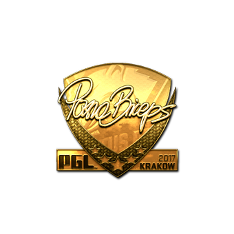 Sticker | pashaBiceps (Gold) | Krakow 2017 CS2 skin