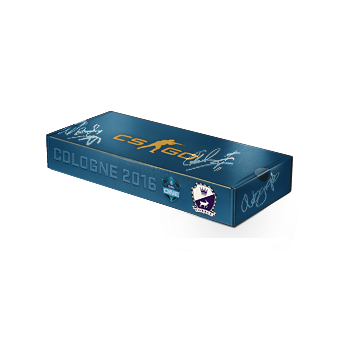 Cologne 2016 Cobblestone Souvenir Package CS2 skin