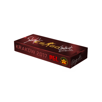 Krakow 2017 Overpass Souvenir Package CS2 skin