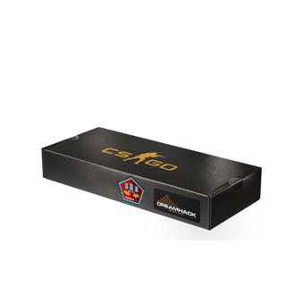 DreamHack 2014 Mirage Souvenir Package CS2 skin