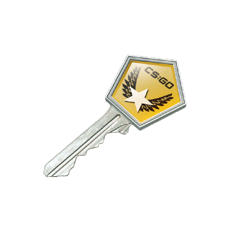 Winter Offensive Case Key CS2 skin