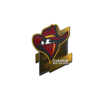 Sticker | Renegades | Boston 2018 CS2 skin