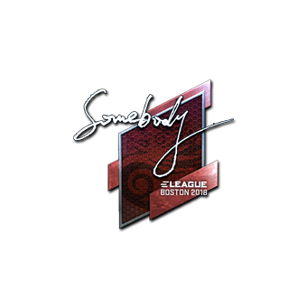 Sticker | somebody (Foil) | Boston 2018 CS2 skin