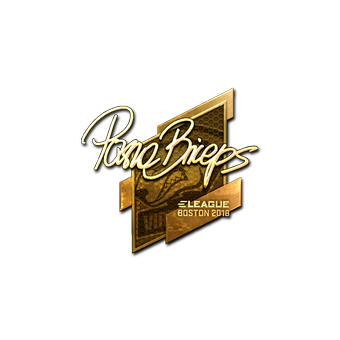 Sticker | pashaBiceps (Gold) | Boston 2018 CS2 skin