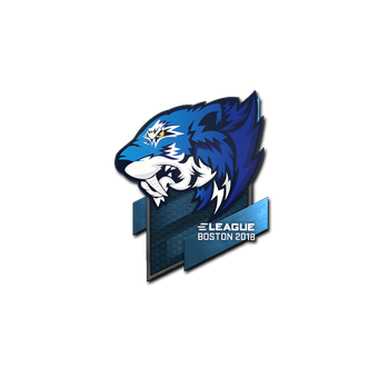 Sticker | Flash Gaming | Boston 2018 CS2 skin