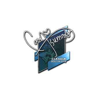 Sticker | Summer | Boston 2018 CS2 skin