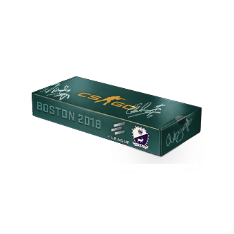 Boston 2018 Cobblestone Souvenir Package CS2 skin