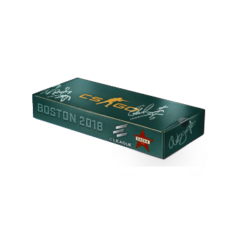 Boston 2018 Cache Souvenir Package CS2 skin