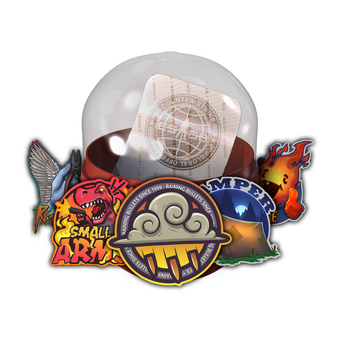 Community Capsule 2018 CS2 skin