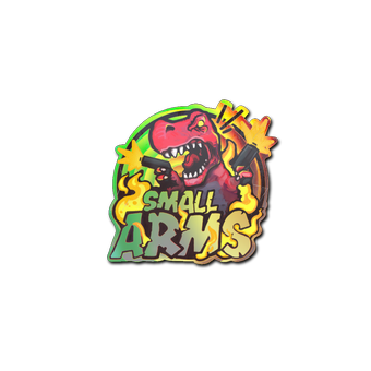 Sticker | Small Arms (Holo) CS2 skin