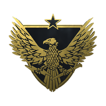 Brigadier General Pin CS2 skin