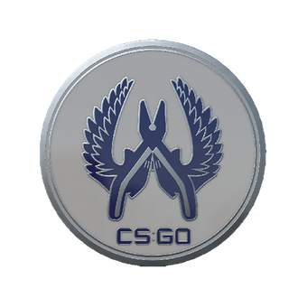 Guardian 3 Pin CS2 skin