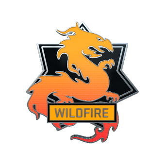 Wildfire Pin CS2 skin