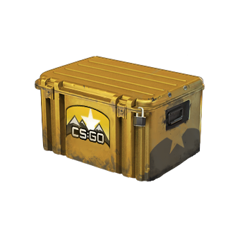 Horizon Case CS2 skin