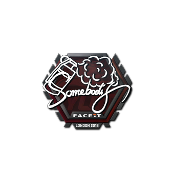 Sticker | somebody | London 2018 CS2 skin