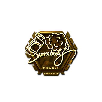 Sticker | somebody (Gold) | London 2018 CS2 skin