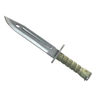 ★ StatTrak™ Bayonet CS2 skin