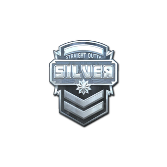 Sticker | Silver (Foil) CS2 skin