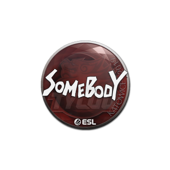 Sticker | somebody | Katowice 2019 CS2 skin