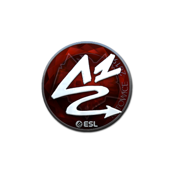 Sticker | ANGE1 (Foil) | Katowice 2019 CS2 skin