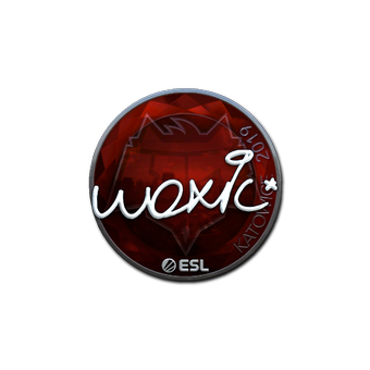 Sticker | woxic (Foil) | Katowice 2019 CS2 skin